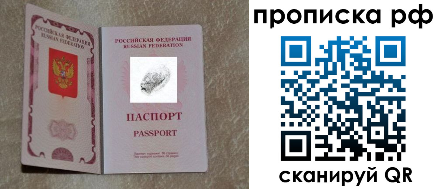 прописка поиск в Краснозаводске